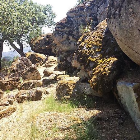 Flor Da Ramila Διαμέρισμα Marvão Εξωτερικό φωτογραφία