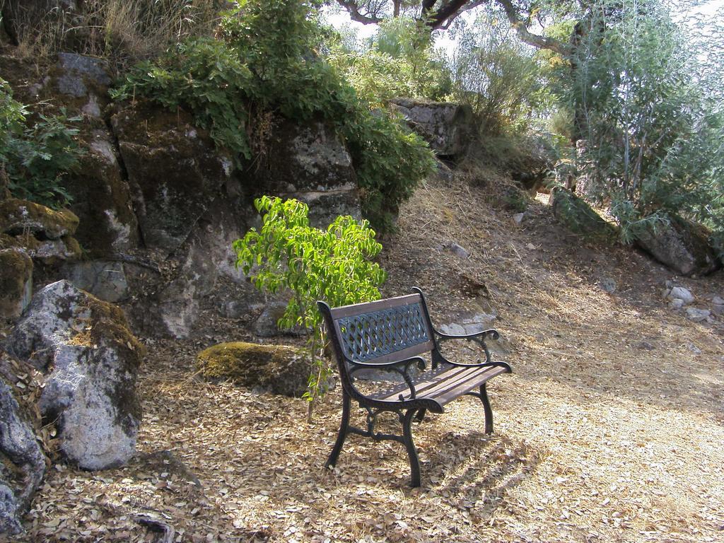 Flor Da Ramila Διαμέρισμα Marvão Δωμάτιο φωτογραφία