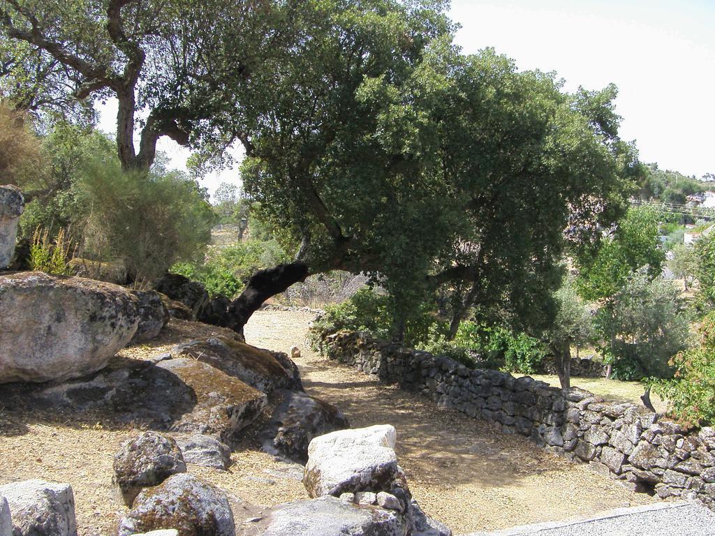 Flor Da Ramila Διαμέρισμα Marvão Δωμάτιο φωτογραφία