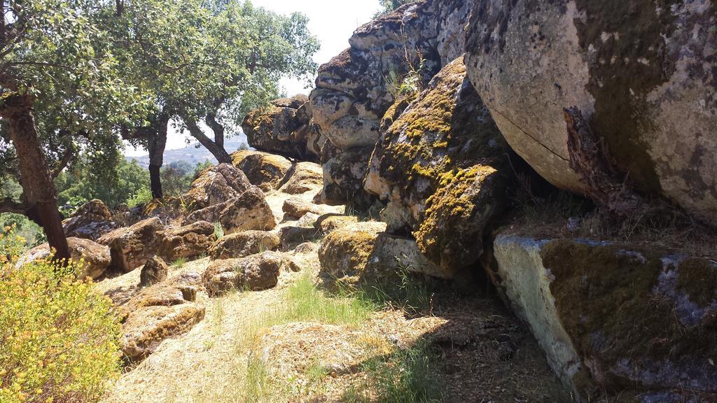 Flor Da Ramila Διαμέρισμα Marvão Εξωτερικό φωτογραφία